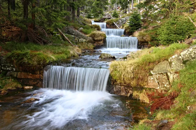 Devil's Ditch Nature Trail