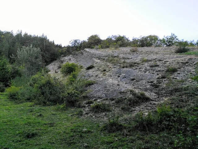 Vallée fossile des Rimets