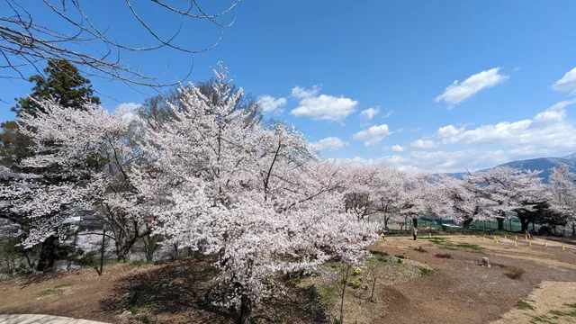 Iiyamajō Castle Ruins