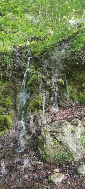 Grotta dello Scalandrone