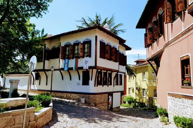Municipal Institute "Ancient Plovdiv"