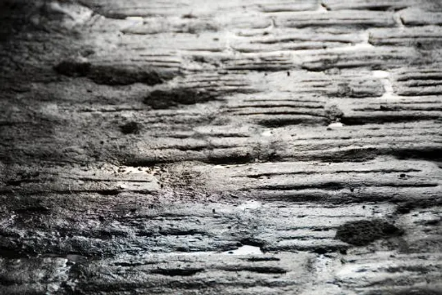 photo-1