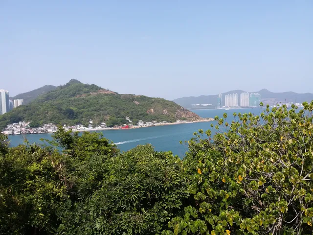 photo-1