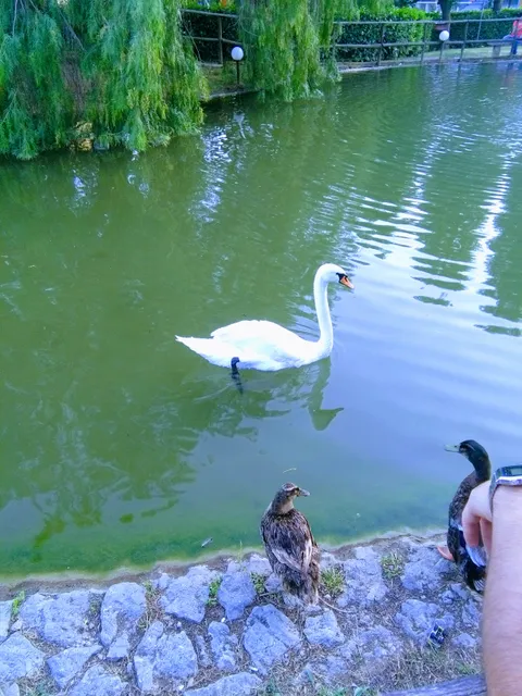 Mercato San Severino