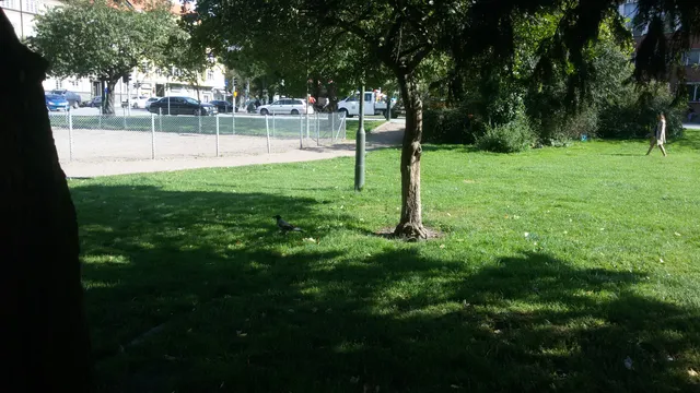 photo-1