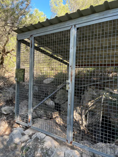 Cova del Gat