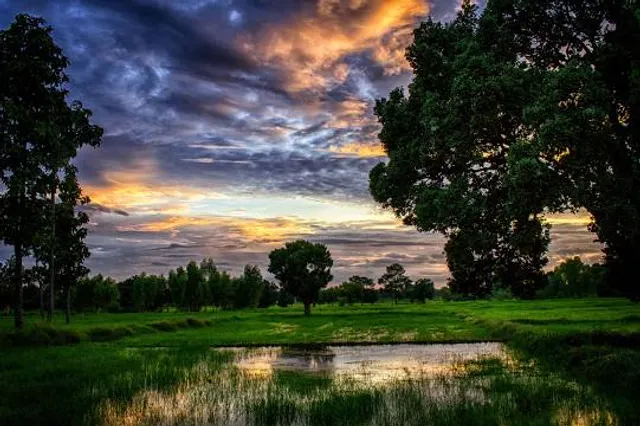 Benson Sculpture Garden