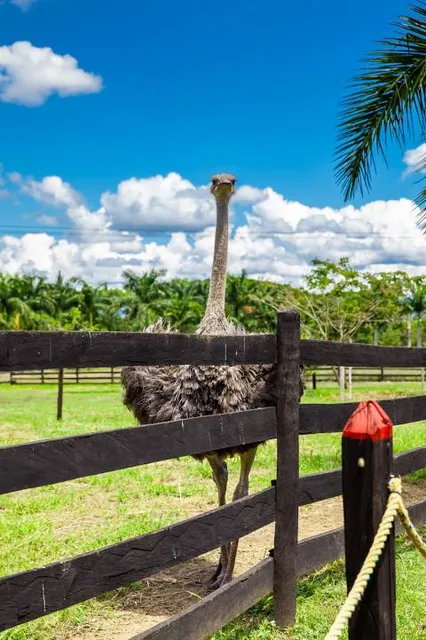 Parque Nacional de la Uva