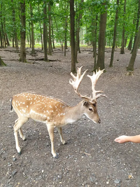 Spielplatz im Naturpark Granat