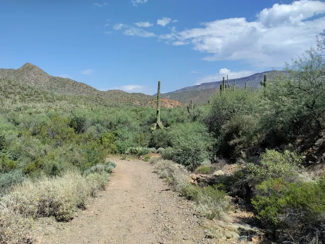 Spur Cross Ranch Conservation