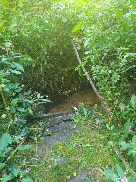 Barfußpfad Waldhölzbach