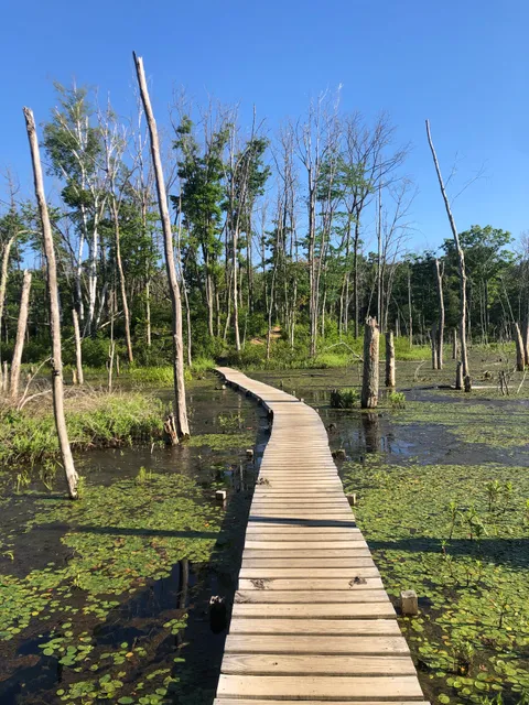 Tompson Street Reservation