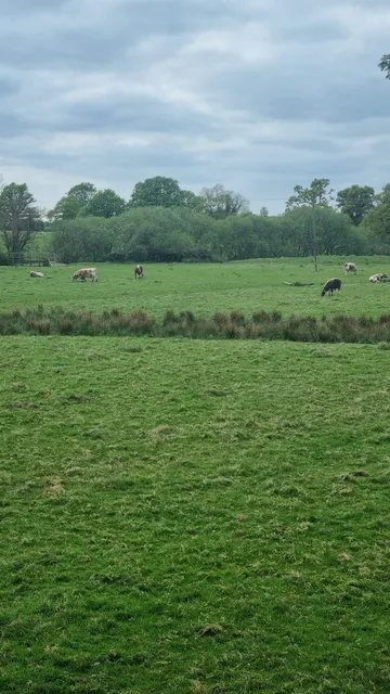 Knepp Castle Estate Walkers’ Car Park