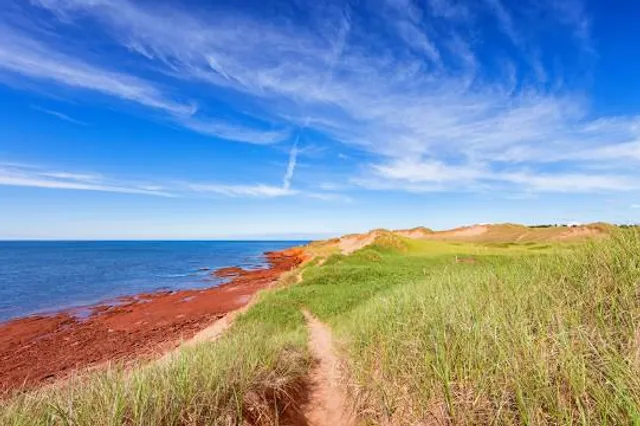 The Dunes Studio Gallery & Cafe