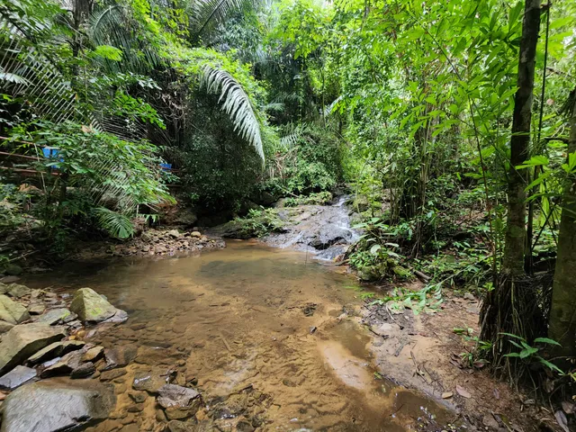 Khao Phra Thaeo Nature and Wildlife Education Center