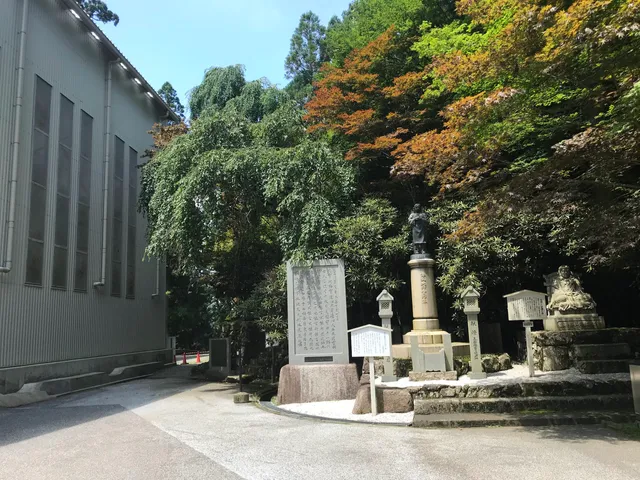 photo-1