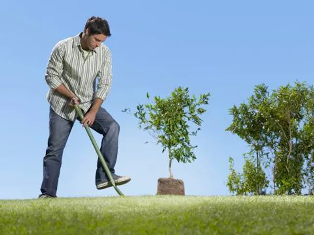 Parque da Quinta dos Franceses