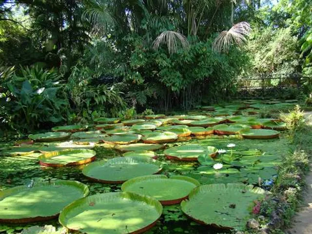 Museu Paraense Emílio Goeldi