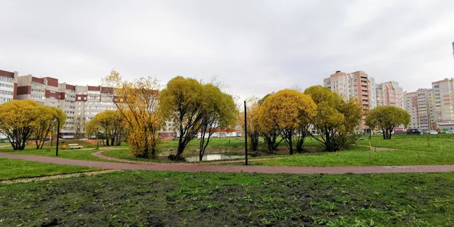 Park Fryazinovskiy