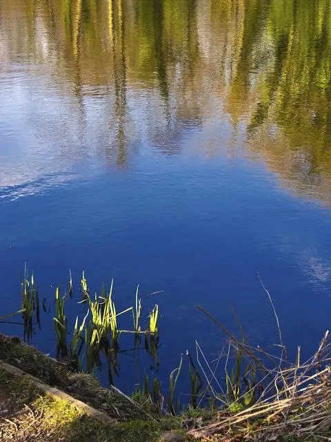 Yarrow Valley Park