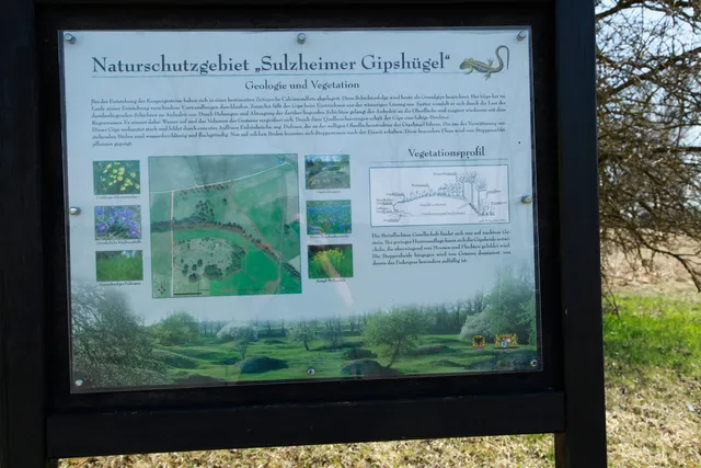 Sulzheimer Gipshügel