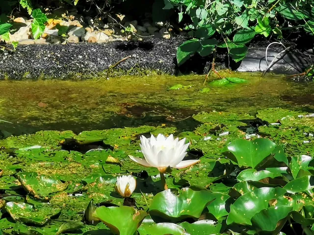 KunstraumGRÜN und Kunstvitrine