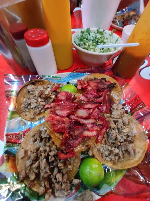 TACOS A VAPOR MONTERREY