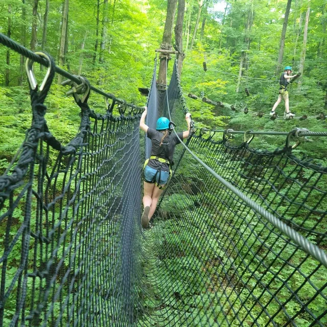 Treetop Trekking Barrie at Horseshoe Valley