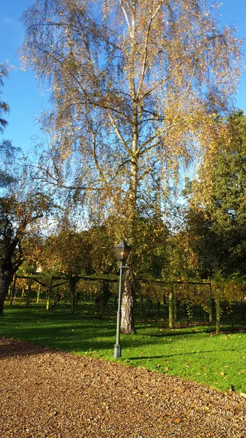 photo-1