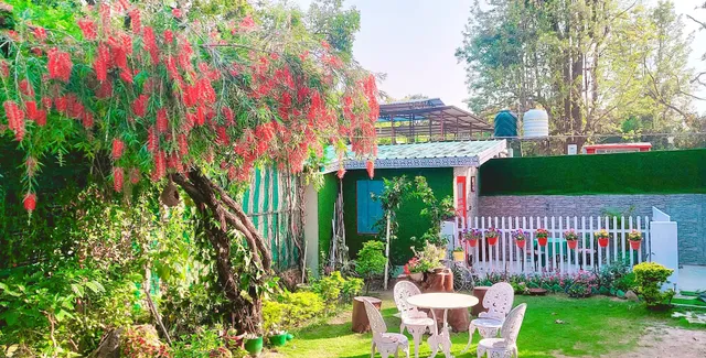 Olive Greens Homestay