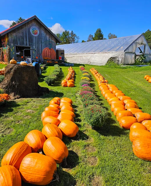 Hartshorn's Organic Farm Stand & Maple Sugar House