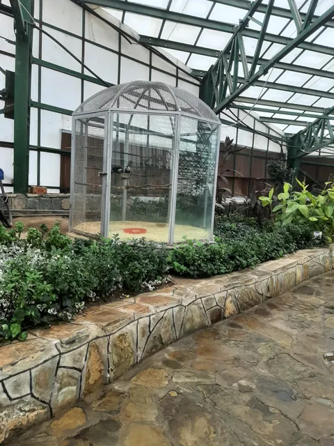 Qom Bird Garden