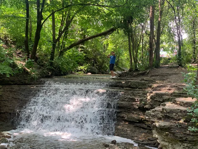 Jon J. Duerr Forest Preserve