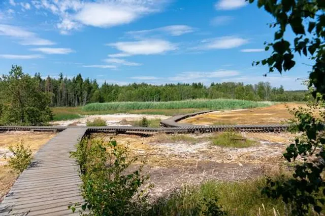 Městské muzeum Františkovy Lázně - Národní přírodní rezervace Soos