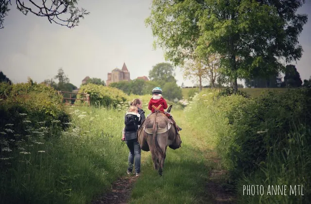 Bougres d'ânes [Randonnée avec un âne]