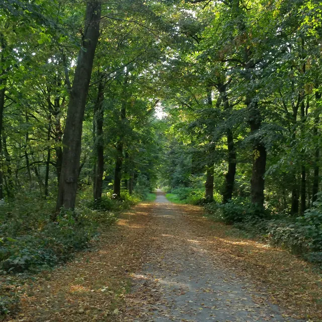 Stadsbos Deinze of Goed te Parijs