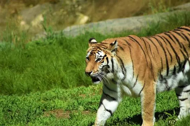 Southwick's Zoo