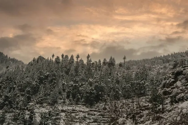 Snow Lakes Trailhead
