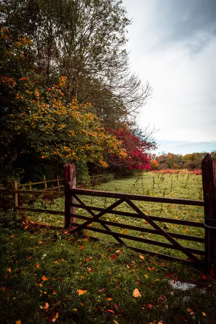 Urmston Meadows