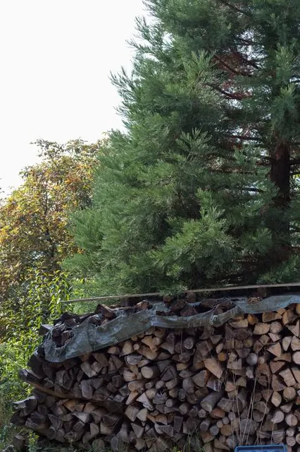 Lindendorf Park - mini city