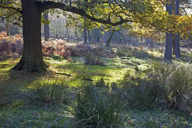 Longshaw Estate - National Trust