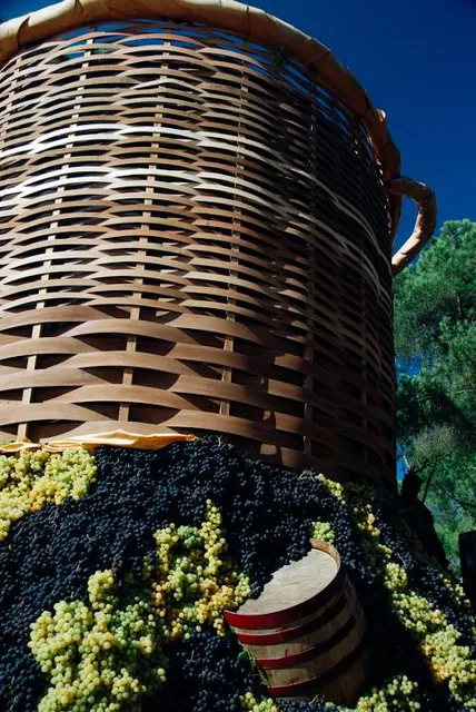 Museo Festa dell'Uva