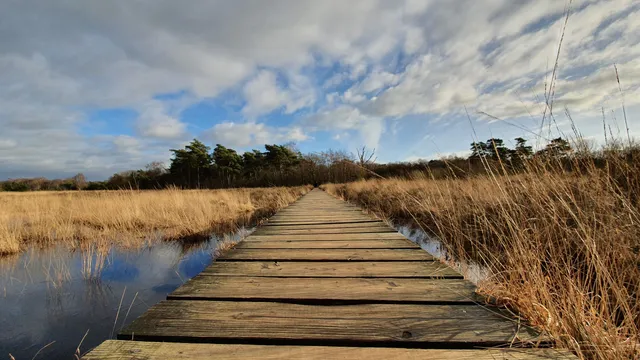 Landgoed Klein Bylaer
