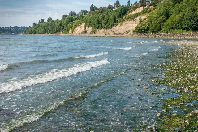 Innis Arden Reserve Park