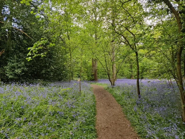 Tocil Wood and Nature Reserve