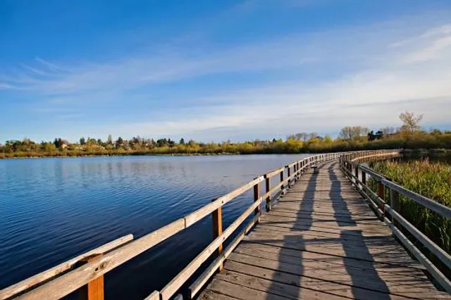Swan Lake Nature Sanctuary