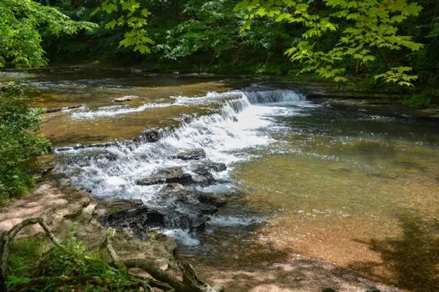 David Crockett State Park