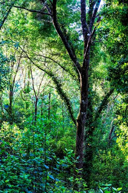 Senda de los Pescadores