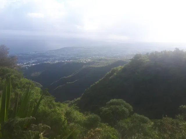 Sentier Botanique providence