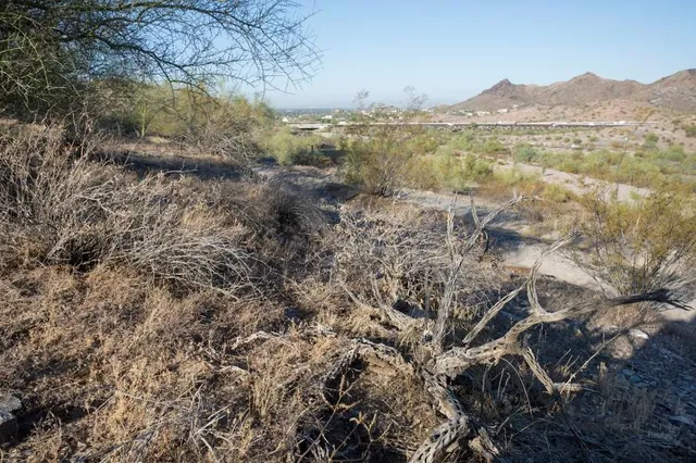 Prime Desert Woodland Preserve
